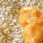 プライバシーポリシー